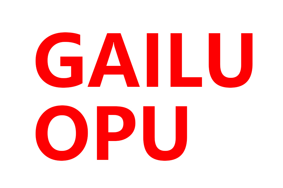 GAILUOPU网站搭建案例